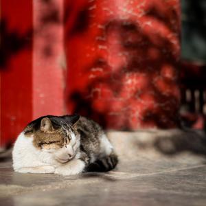 小县城妹子的表演视频
